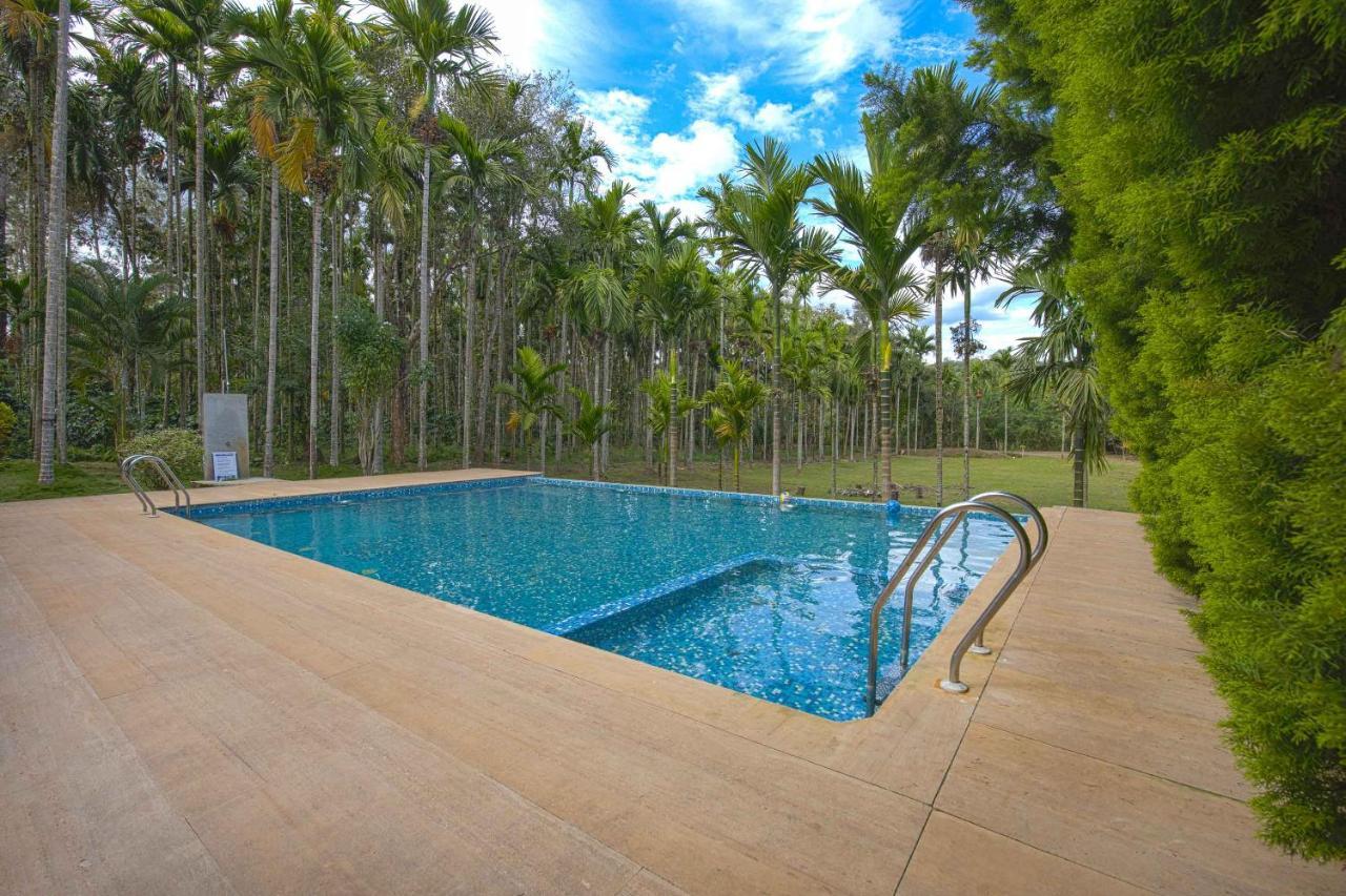 Stayvista At Tall Silver With Infinity Pool & Breakast Madikeri Εξωτερικό φωτογραφία